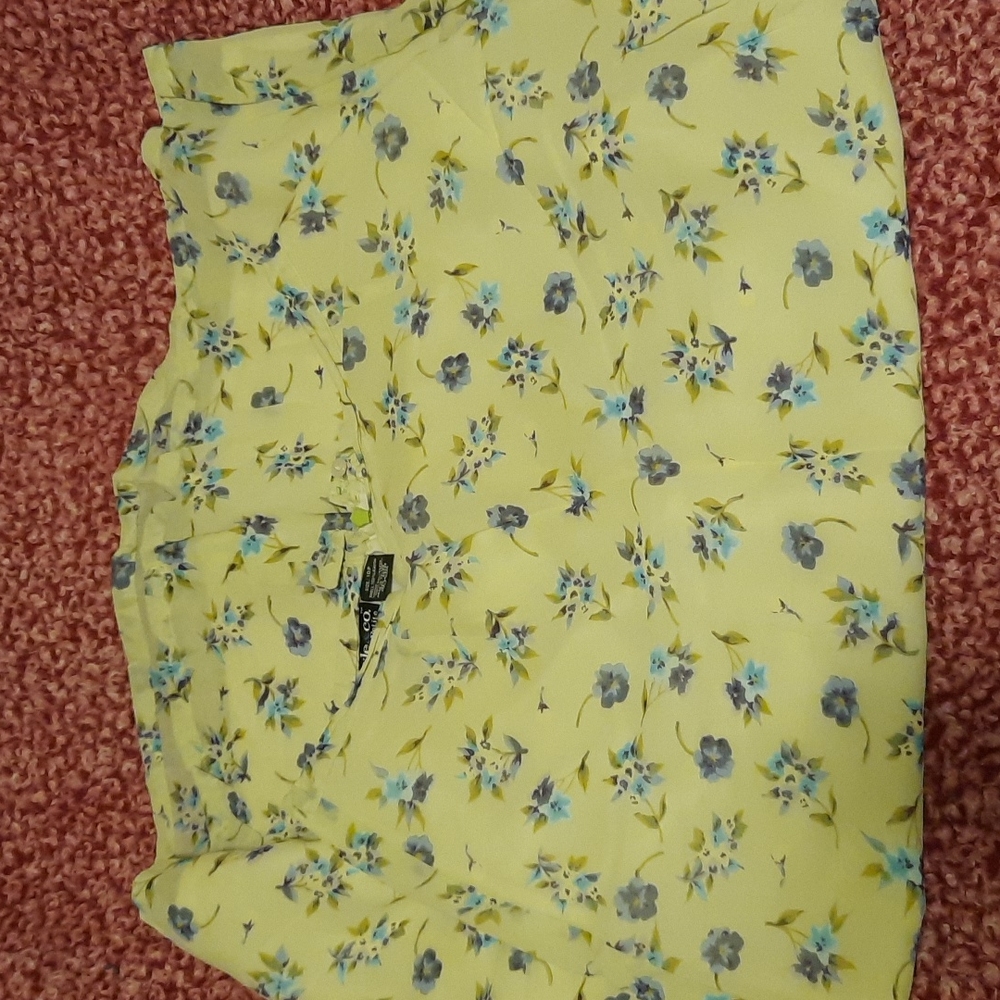 Style & Co Skirt (W196)